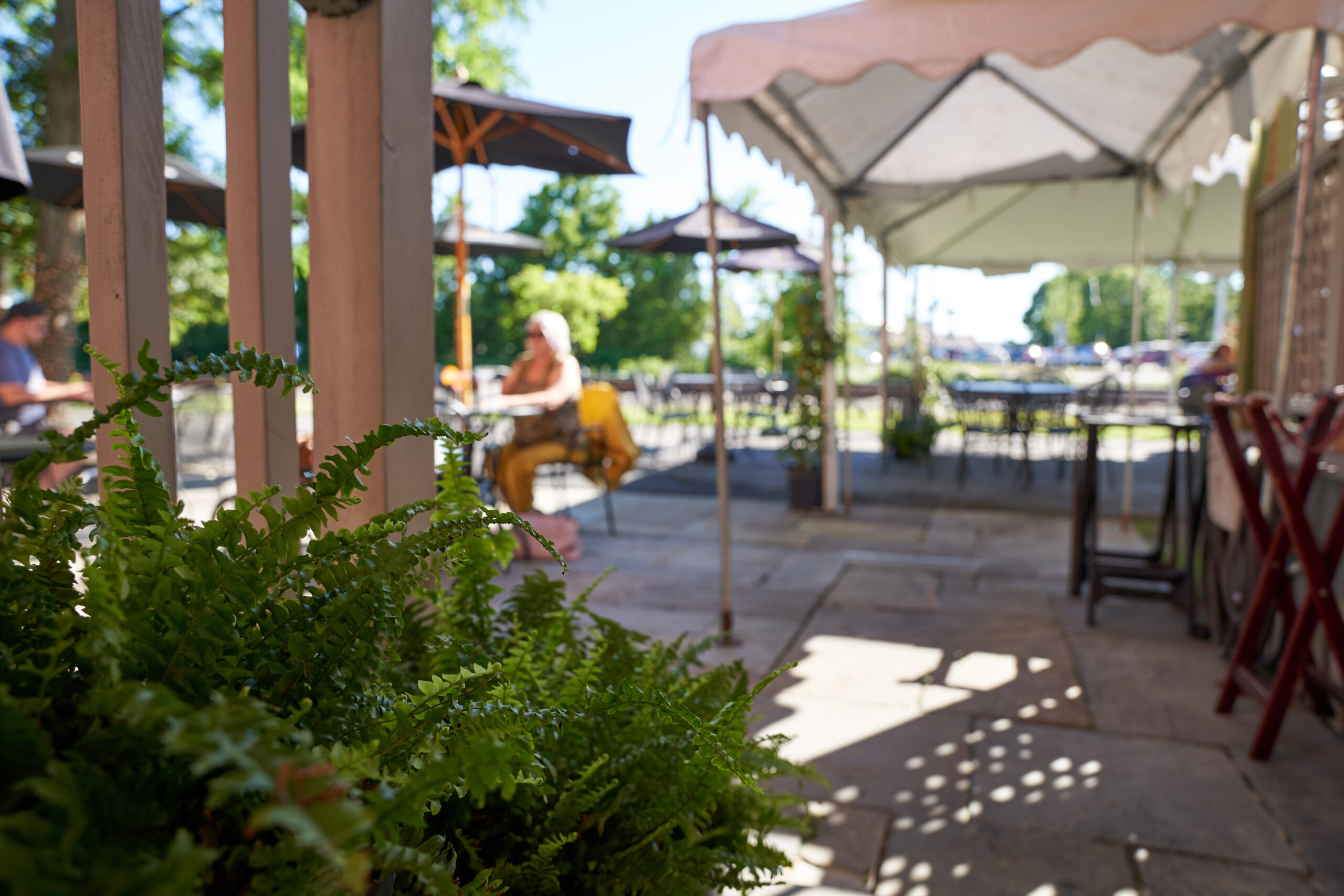 What Makes Bruno’s Worth Visiting?
